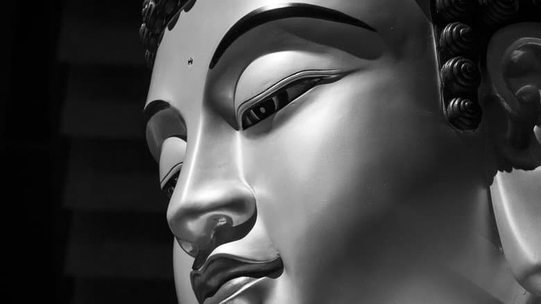 The Great Buddha+ still