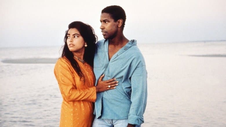 Mississippi Masala still