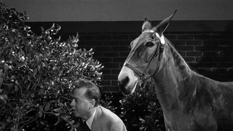 Francis in the Haunted House still