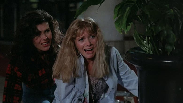 Chopping Mall still