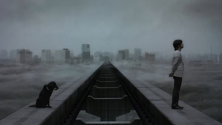 Sweet Rain: Accuracy of Death still