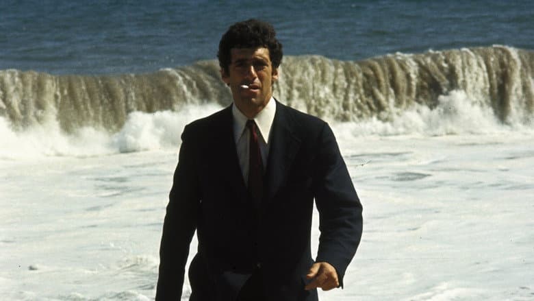 The Long Goodbye still