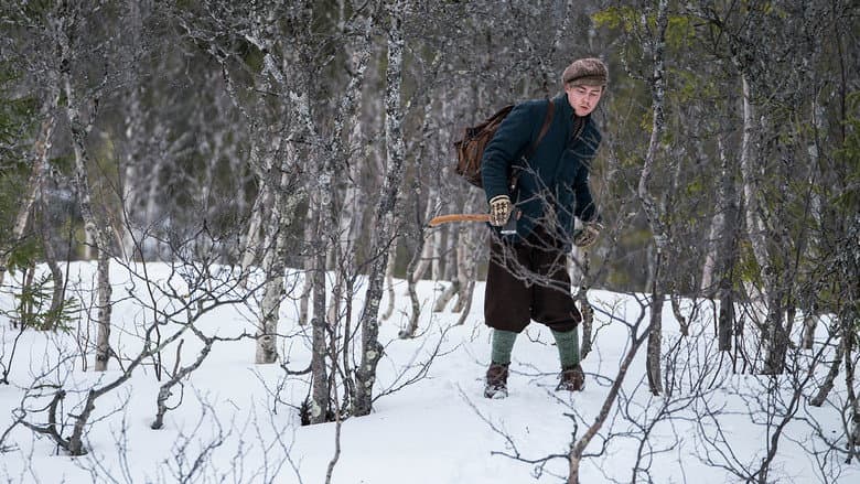 The Birdcatcher still