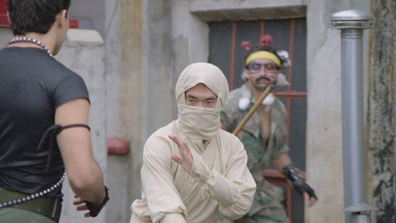 New York Ninja still