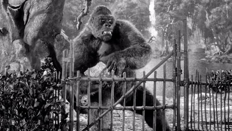 Mighty Joe Young still