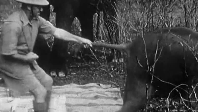 Indian Elephants in the Service of Man still