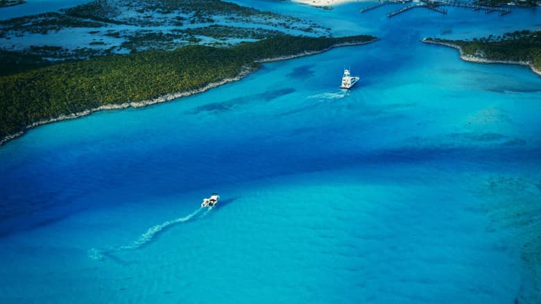 Fyre Fraud still