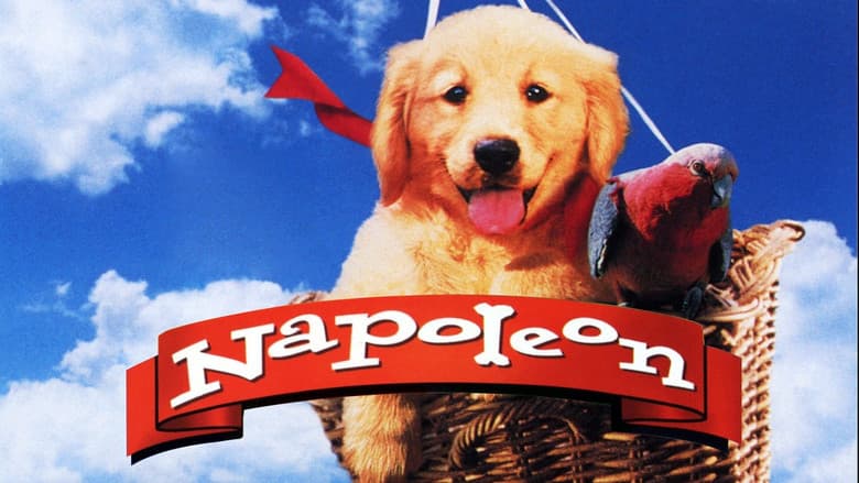 Napoleon still
