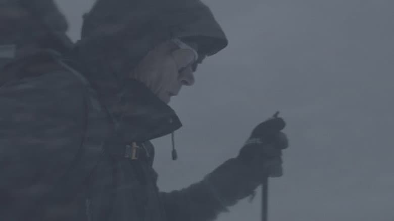 Wandering in the White still