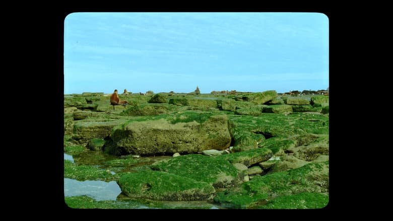 Jauja still