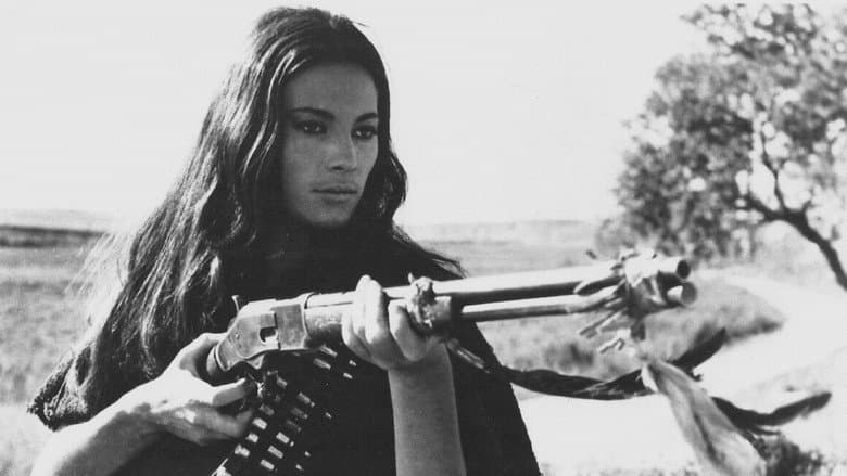Navajo Joe still