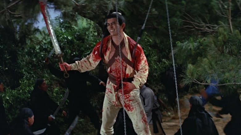 Return of the One-Armed Swordsman still