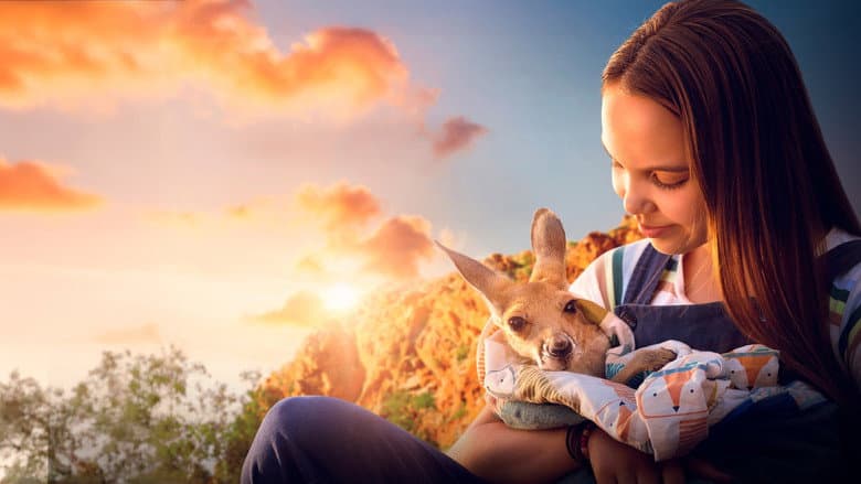 Kangaroo still