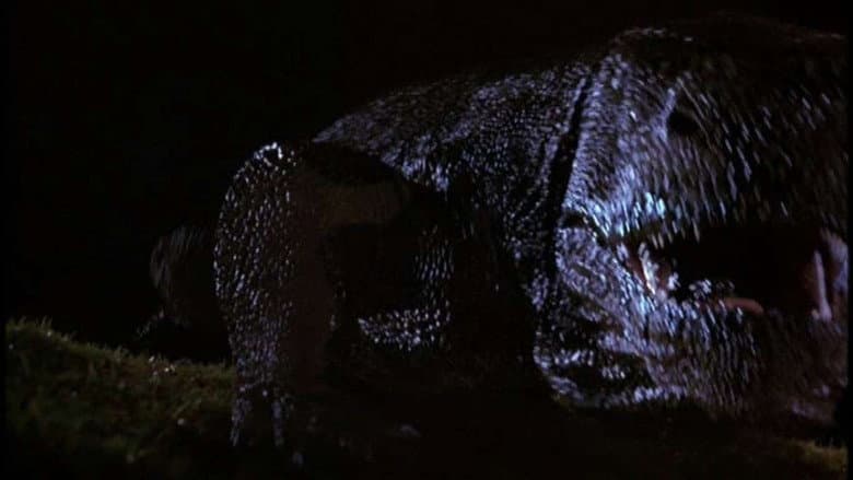 Komodo still
