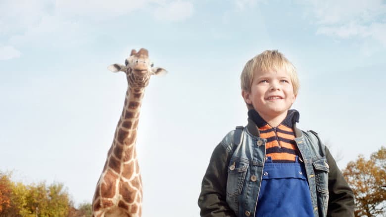 My Giraffe still