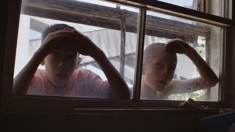 Fauve still