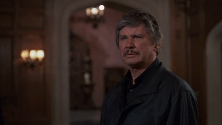 Death Wish 4: The Crackdown still