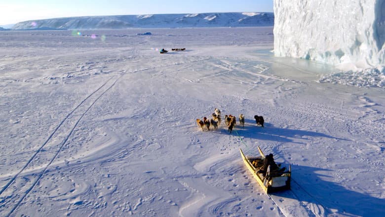 The Last Ice still