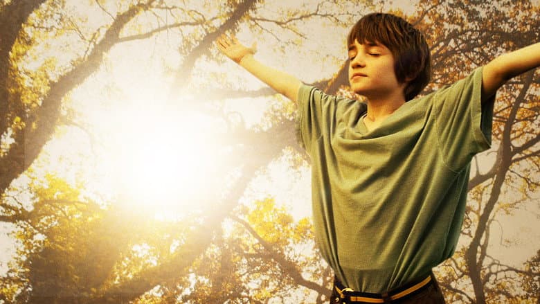 The Odd Life of Timothy Green still