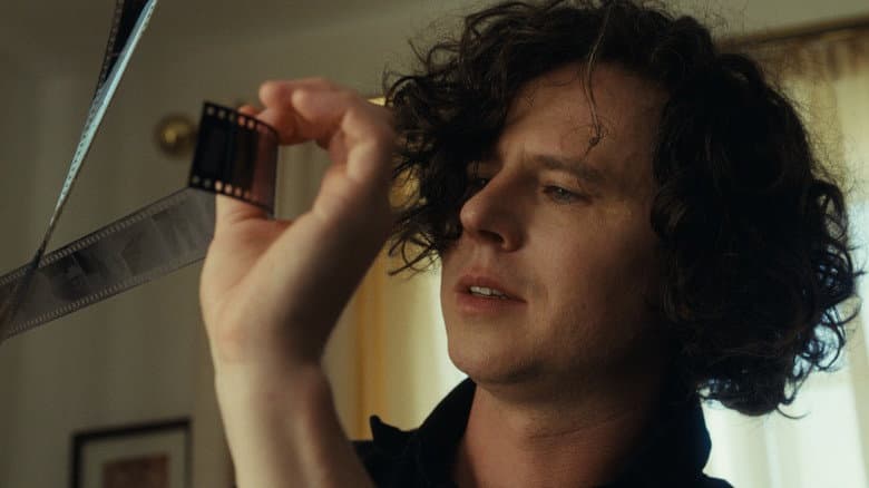 Petunia still