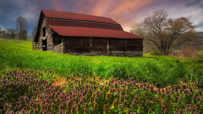 Appalachian Spring still