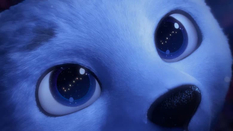 Polar still