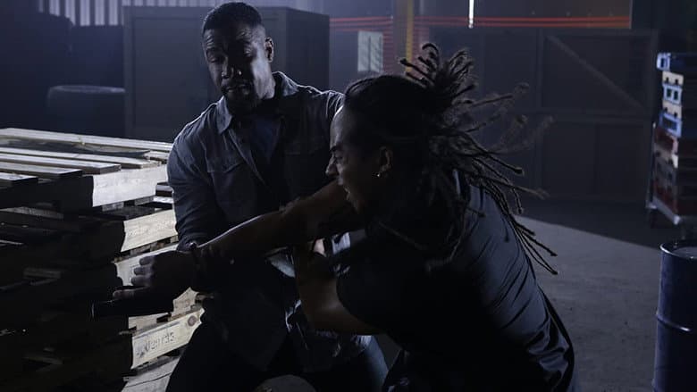 Falcon Rising still