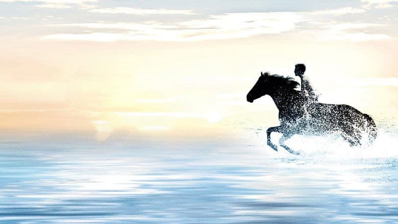 The Black Stallion still