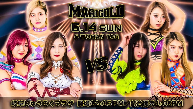 Marigold Shining Attack 2026 ~ Day 13 still