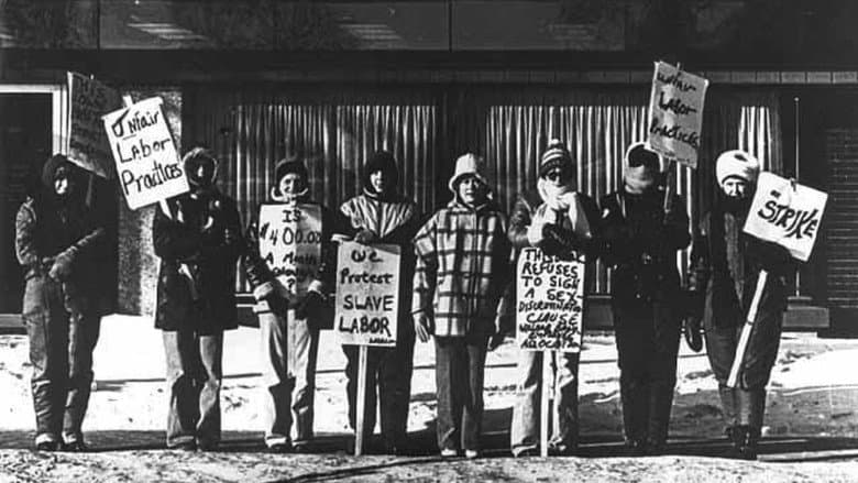 The Willmar 8 still