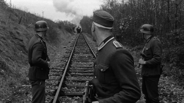 The Train still