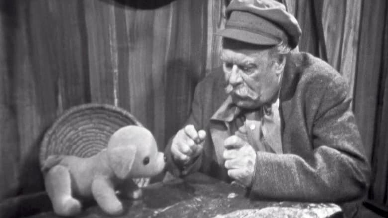 Psí pohádka still