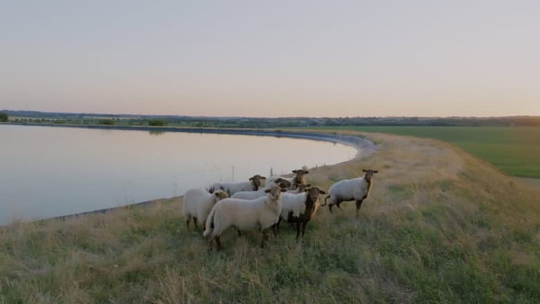 Monde agricole : la fracture de l’eau still