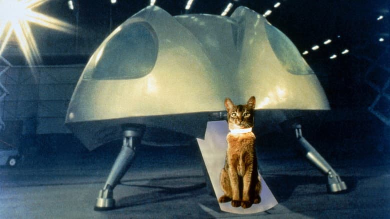 The Cat from Outer Space still