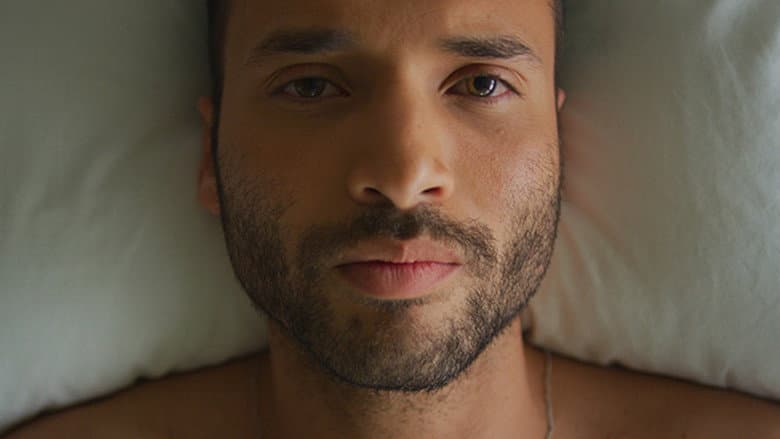 LUZ still