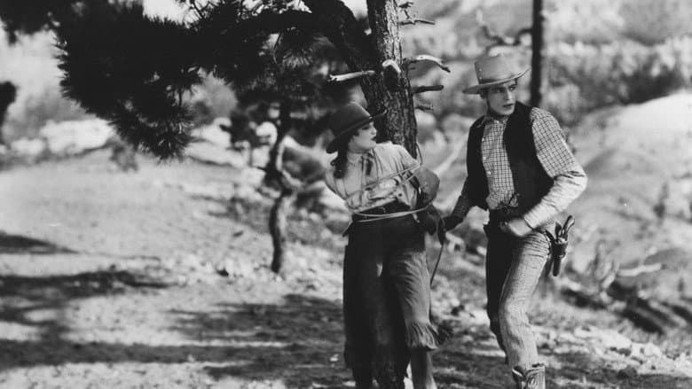 Nevada still