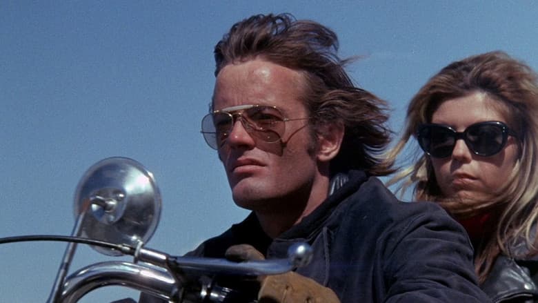 The Wild Angels still