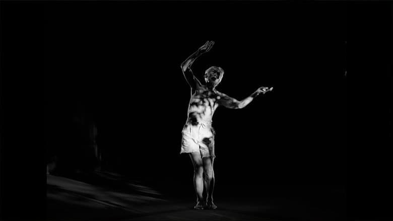 Some Body Comes Into the Light still