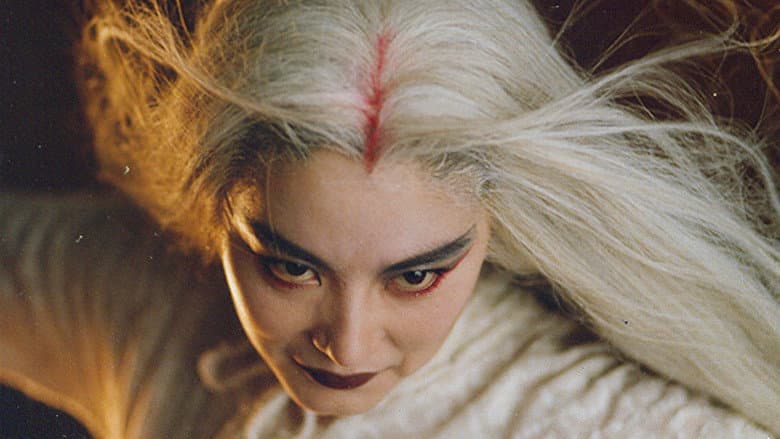 The Bride with White Hair still