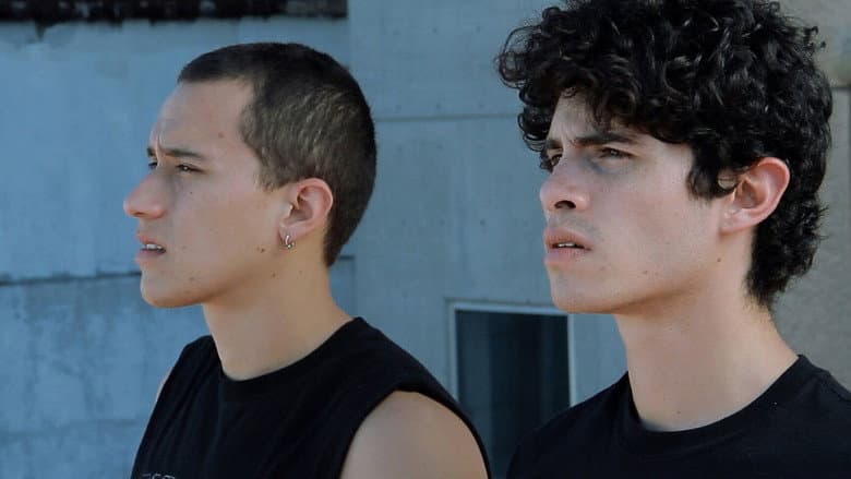 Velociraptor still