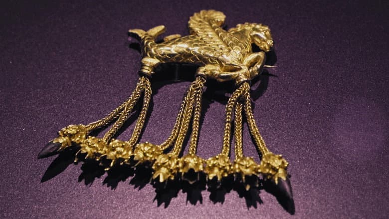 The Odyssey of Priam's Gold still