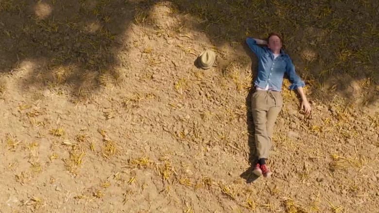 Chêne de vie : l'amour aux temps du cancer still