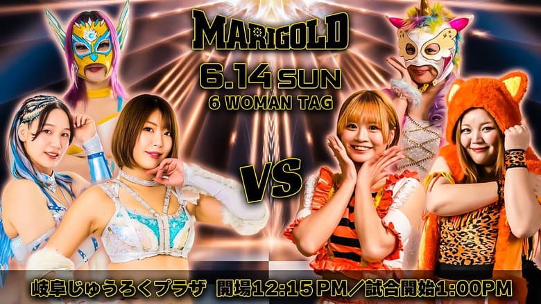 Marigold Shining Attack 2026 ~ Day 13 still