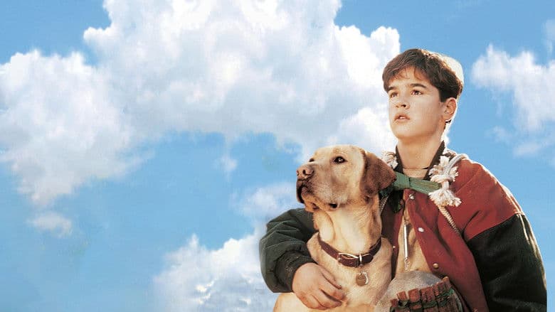 Far from Home: The Adventures of Yellow Dog still