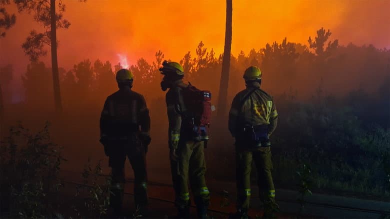Lessons in Fire still