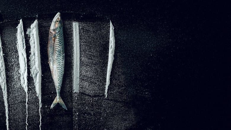 Turn of the Tide: The Surreal Story of Rabo de Peixe still