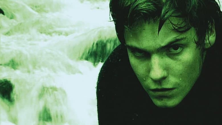 The White Sound still