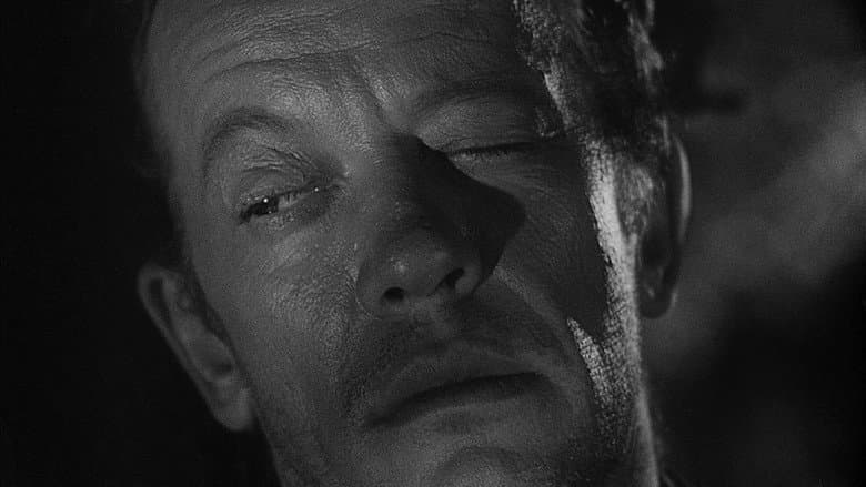 The Hitch-Hiker still