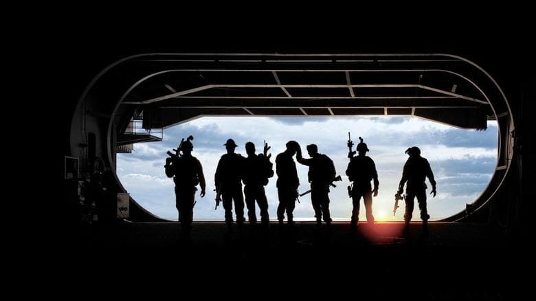 Act of Valor still