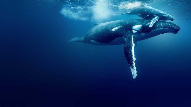 Ocean with David Attenborough still